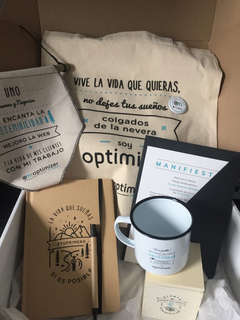 Que-es -ser-optimizer-manager-valores